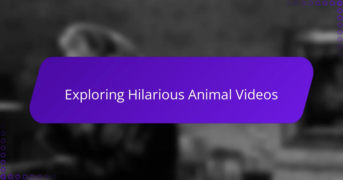 Exploring Hilarious Animal Videos