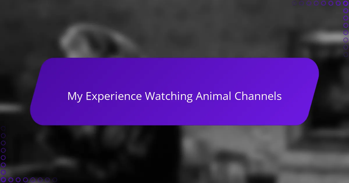 My Experience Watching Animal Channels