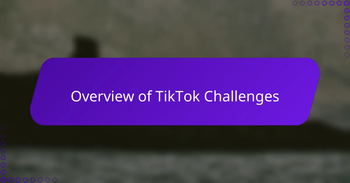 Overview of TikTok Challenges