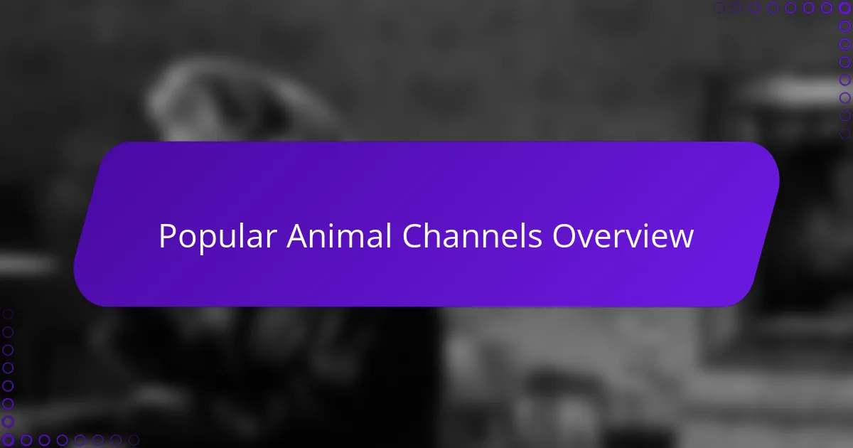 Popular Animal Channels Overview