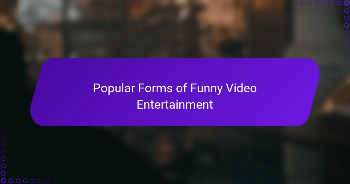 Popular Forms of Funny Video Entertainment