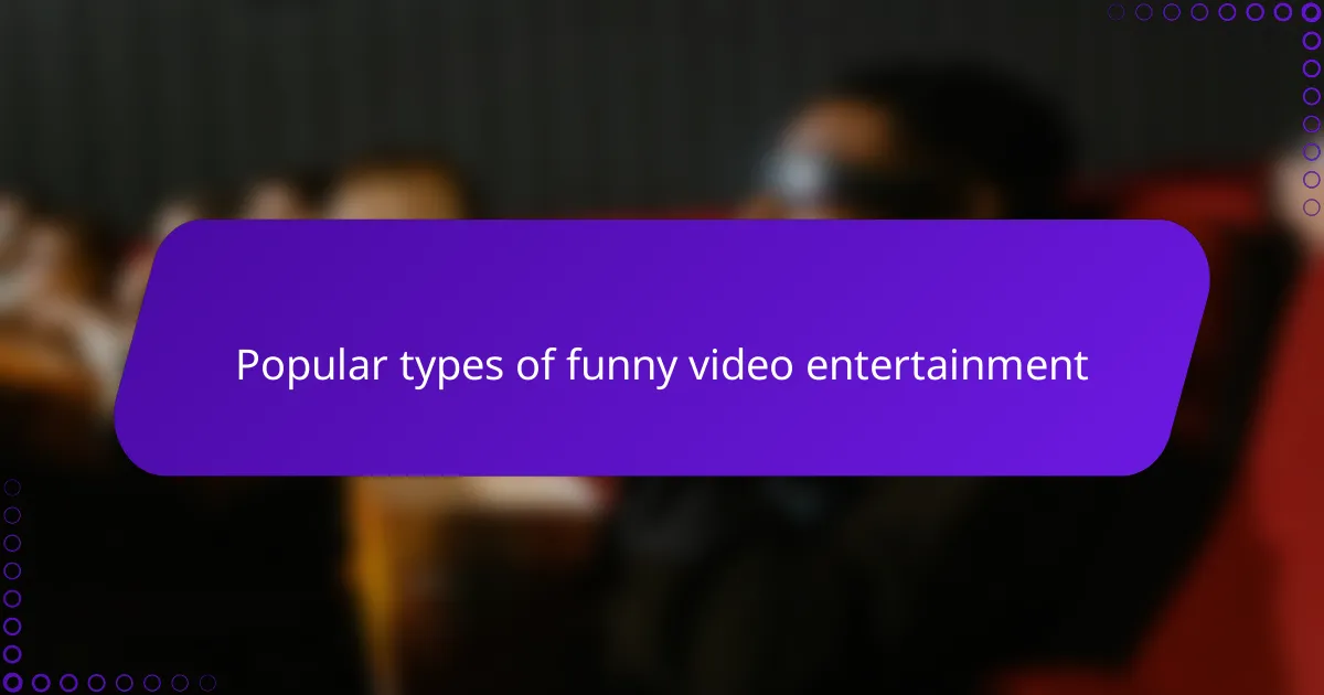 Popular types of funny video entertainment
