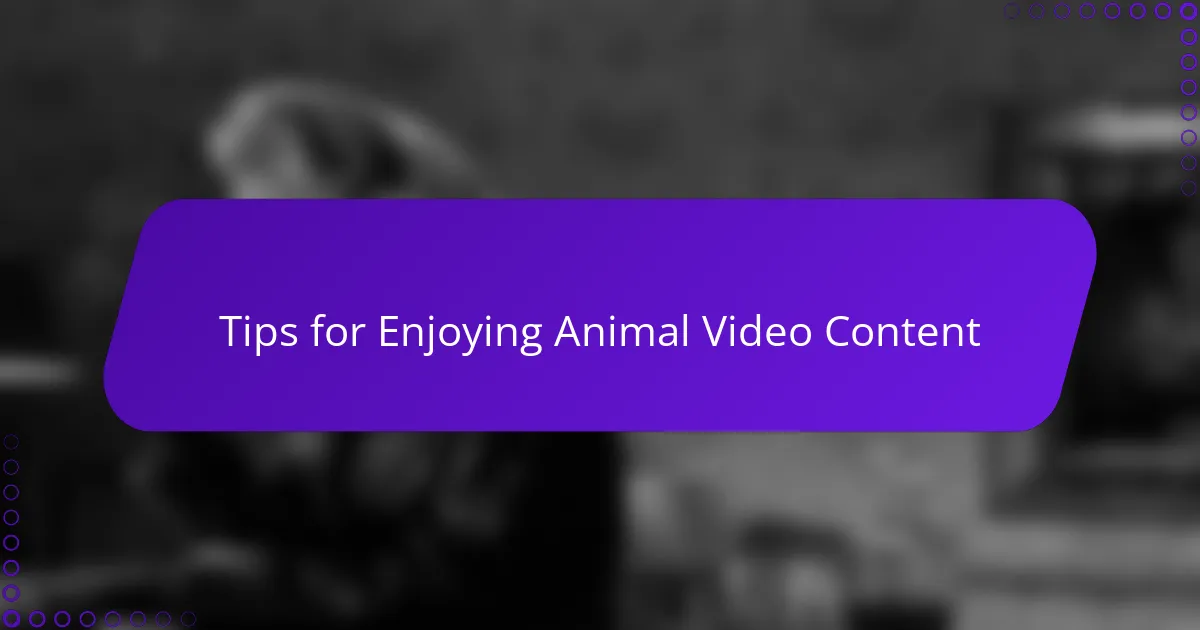 Tips for Enjoying Animal Video Content
